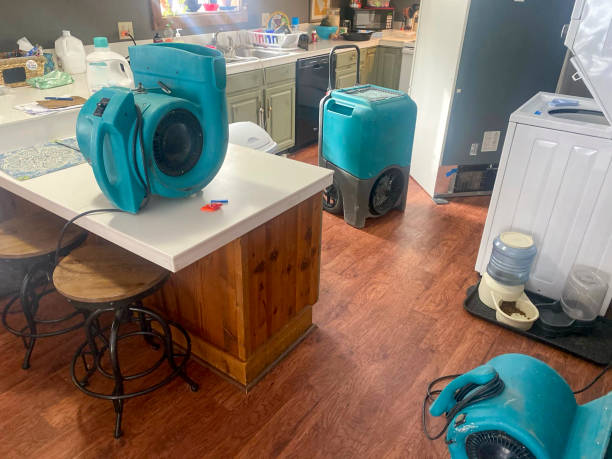 Best Carpet water damage restoration  in Mazomanie, WI