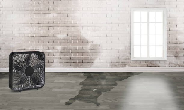Water damage restoration mold remediation in Mazomanie, WI