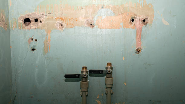 Best Ceiling water damage repair  in Mazomanie, WI