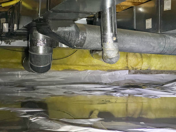 Best Local water damage restoration  in Mazomanie, WI